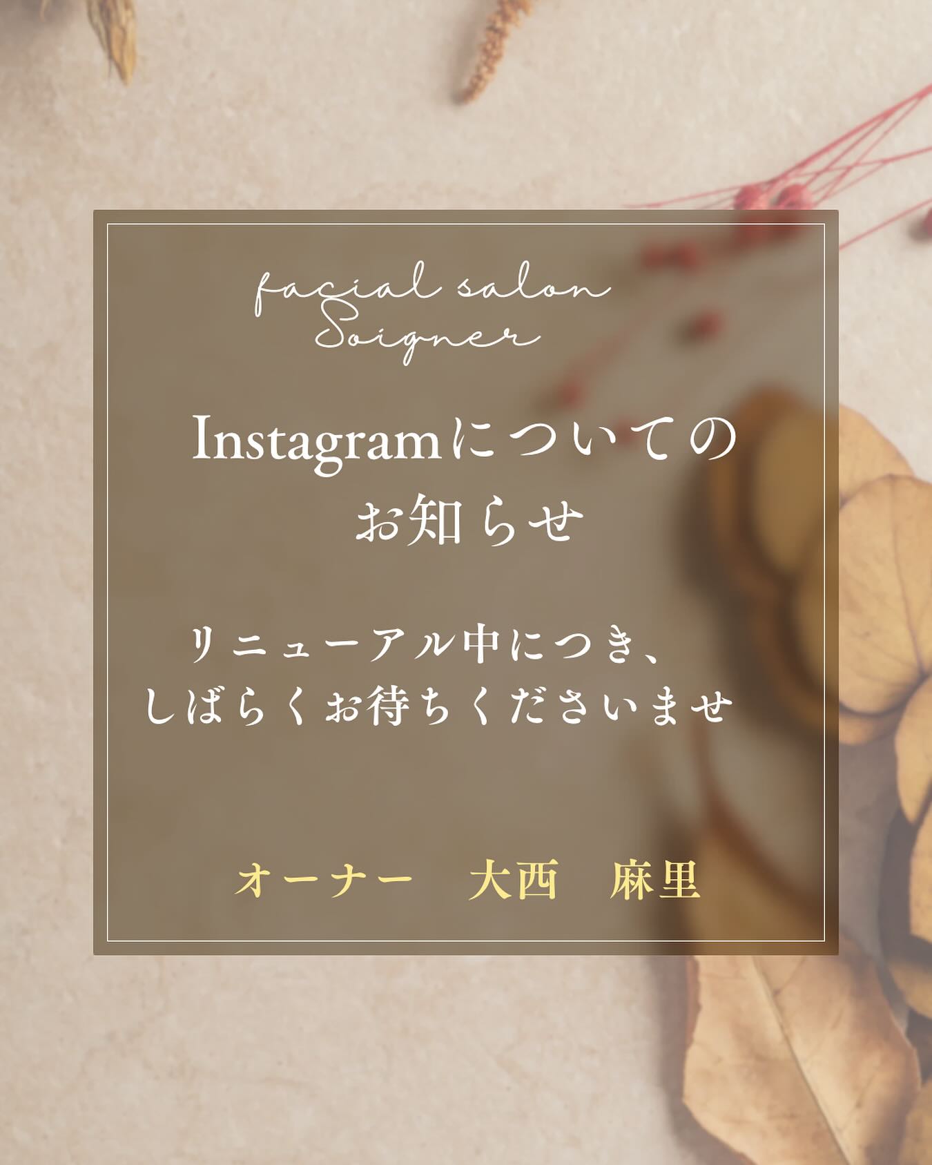 定期メンテナンスプラン（月2回）